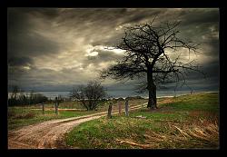 Click image for larger version. 

Name:	Lonesome_Road_by_tfavretto.jpg 
Views:	703 
Size:	95.7 KB 
ID:	446322