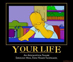 Click image for larger version. 

Name:	face-palm-life-homer-simpson-facepalm-fail-demotivational-poster-1277576990.jpg 
Views:	6306 
Size:	64.5 KB 
ID:	376529