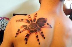 Click image for larger version. 

Name:	3d_tattoo_175.jpg 
Views:	213 
Size:	76.1 KB 
ID:	287275