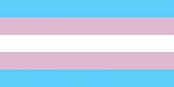 Click image for larger version. 

Name:	Copy of 800px-Transgender_Pride_flag_svg.jpg 
Views:	140 
Size:	6.9 KB 
ID:	431263