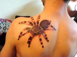 Click image for larger version. 

Name:	tattoo1_327.jpg 
Views:	656 
Size:	15.0 KB 
ID:	262746