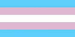 Click image for larger version. 

Name:	Copy of 800px-Transgender_Pride_flag_svg.jpg 
Views:	138 
Size:	6.9 KB 
ID:	431263