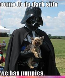 Click image for larger version. 

Name:	celebrity_pictures_vader_puppies_414.jpg 
Views:	1038 
Size:	174.8 KB 
ID:	282980