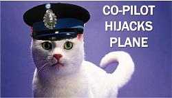 Click image for larger version. 

Name:	Current-Event-Cat-Co-pilot.jpg 
Views:	157 
Size:	18.6 KB 
ID:	702516