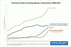 Click image for larger version. 

Name:	opioid_deaths_multicolor.gif 
Views:	49 
Size:	34.6 KB 
ID:	1038707