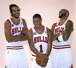 Click image for larger version. 

Name:	Basketball-Bulls2011.jpg 
Views:	500 
Size:	39.3 KB 
ID:	392123