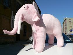 Click image for larger version. 

Name:	pinkelephant50inch5.jpg 
Views:	98 
Size:	154.4 KB 
ID:	529421