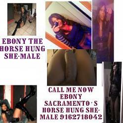 Click image for larger version. 

Name:	ts_ebony2_175.jpg 
Views:	1052 
Size:	20.0 KB 
ID:	250893