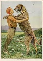 Click image for larger version. 

Name:	irish wolfhound.jpg 
Views:	106 
Size:	11.2 KB 
ID:	552809