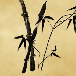 Click image for larger version. 

Name:	zen-watercolor-bamboo-ipad-background.jpg 
Views:	140 
Size:	265.4 KB 
ID:	565013