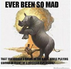 Click image for larger version. 

Name:	ever-been-so-mad-that-you-kicked-a-rhino-in-the-balls.jpg 
Views:	119 
Size:	30.7 KB 
ID:	593713