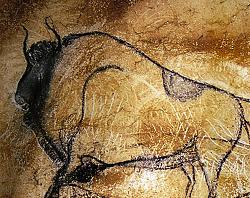 Click image for larger version. 

Name:	ChauvetCavePaintings_Bison1_WEB_1011x800.jpg 
Views:	47 
Size:	207.7 KB 
ID:	1061021