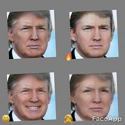 Click image for larger version. 

Name:	FaceApp.jpg 
Views:	72 
Size:	33.8 KB 
ID:	1006717