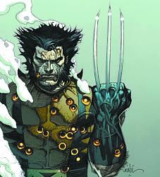 Click image for larger version. 

Name:	Wolverine.jpg 
Views:	256 
Size:	444.5 KB 
ID:	468339