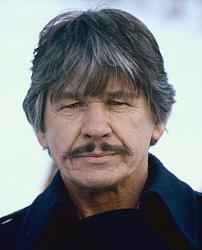 Click image for larger version. 

Name:	charles_bronson_116.jpg 
Views:	127 
Size:	23.6 KB 
ID:	138211