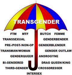 Click image for larger version. 

Name:	umbrella_transgender.jpg 
Views:	20 
Size:	28.6 KB 
ID:	1025705