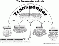 Click image for larger version. 

Name:	transgenderumbrella.gif 
Views:	31 
Size:	38.2 KB 
ID:	1025736