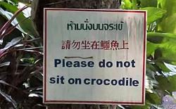 Click image for larger version. 

Name:	64_crocodile_sitting_prohibited_711.jpg 
Views:	709 
Size:	26.1 KB 
ID:	201947