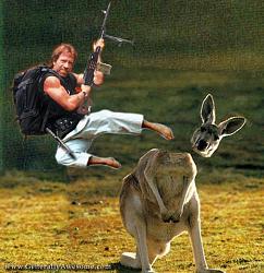 Click image for larger version. 

Name:	chuck_norris_album9_152.jpg 
Views:	996 
Size:	64.8 KB 
ID:	217665