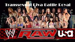 Click image for larger version. 

Name:	wwe transsexual diva battle royal.jpg 
Views:	518 
Size:	313.3 KB 
ID:	365499