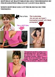 Click image for larger version. 

Name:	palin_538.jpg 
Views:	759 
Size:	155.7 KB 
ID:	246006