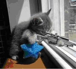 Click image for larger version. 

Name:	cat_with_rifle_956.jpg 
Views:	1594 
Size:	23.5 KB 
ID:	70944