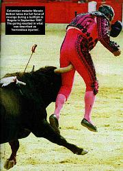 Click image for larger version. 

Name:	bullfighter2_116.jpg 
Views:	612 
Size:	33.7 KB 
ID:	169893