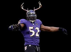 Click image for larger version. 

Name:	ray-lewis.jpg 
Views:	158 
Size:	57.9 KB 
ID:	552276