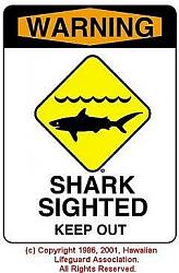 Click image for larger version. 

Name:	ssharksighted_185.jpg 
Views:	3052 
Size:	20.0 KB 
ID:	223855
