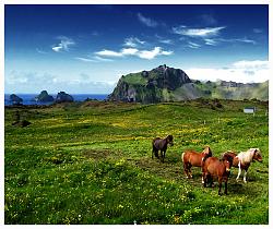 Click image for larger version. 

Name:	Iceland_Panoramic-setting_2403.jpg 
Views:	164 
Size:	179.7 KB 
ID:	617630