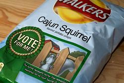 Click image for larger version. 

Name:	Walkers-Cajun-Squirrel-Chips.jpg 
Views:	66 
Size:	43.8 KB 
ID:	740095