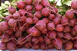 Click image for larger version. 

Name:	beets.jpg 
Views:	1872 
Size:	54.6 KB 
ID:	523464