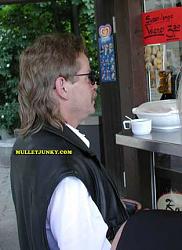 Click image for larger version. 

Name:	german mullet.jpg 
Views:	329 
Size:	17.0 KB 
ID:	584421