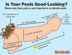 Click image for larger version. 

Name:	attractive-penis-infographic_0.jpeg 
Views:	63 
Size:	133.5 KB 
ID:	1024473