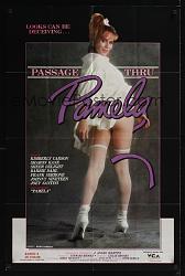 Click image for larger version. 

Name:	passage_thru_pamela_video_WA01798_L.jpg 
Views:	1378 
Size:	93.7 KB 
ID:	467645