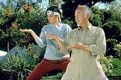 Click image for larger version. 

Name:	karate-kid.jpeg 
Views:	672 
Size:	51.7 KB 
ID:	660633