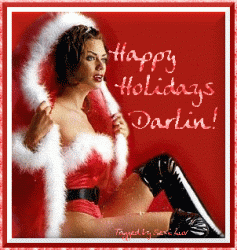 Click image for larger version. 

Name:	christmas.gif 
Views:	601 
Size:	110.9 KB 
ID:	660006