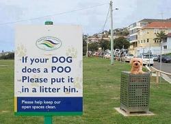 Click image for larger version. 

Name:	dogpoo.jpg 
Views:	178 
Size:	50.9 KB 
ID:	947098