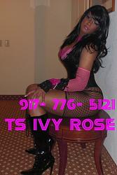 Click image for larger version. 

Name:	ts_ivy_rose1_123.jpg 
Views:	1149 
Size:	162.6 KB 
ID:	703592
