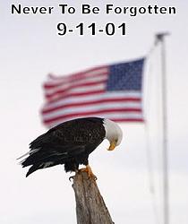 Click image for larger version. 

Name:	remember.jpg 
Views:	250 
Size:	24.4 KB 
ID:	622752