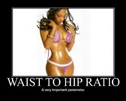 Click image for larger version. 

Name:	Waist_To_Hip_Ratio_id_31782full2.jpg 
Views:	578 
Size:	19.2 KB 
ID:	746996