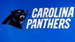 Click image for larger version. 

Name:	Panthers-logo.jpg 
Views:	23 
Size:	75.0 KB 
ID:	1385826