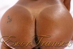 Click image for larger version. 

Name:	Acompanhante Travesti Bianca Alves - 53.jpg 
Views:	529 
Size:	377.3 KB 
ID:	777806