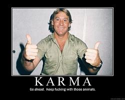 Click image for larger version. 

Name:	karma_212.jpg 
Views:	182 
Size:	123.7 KB 
ID:	157721