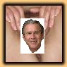 george bush's Avatar