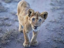 Click image for larger version. 

Name:	Untitled.jpg 
Views:	80 
Size:	301.9 KB 
ID:	1036226