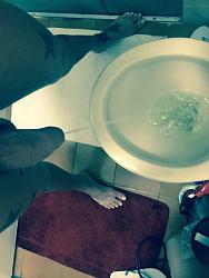 Click image for larger version. 

Name:	a7056709-932a-4f61-875b-ea1c67e7eb07.jpg 
Views:	440 
Size:	39.6 KB 
ID:	1039183