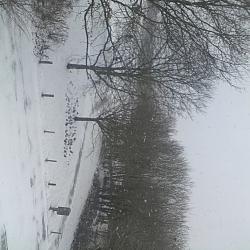 Click image for larger version. 

Name:	1519920332590-1193028511.jpg 
Views:	66 
Size:	767.1 KB 
ID:	1061616