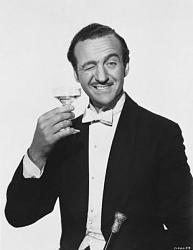 Click image for larger version. 

Name:	david niven.jpg 
Views:	67 
Size:	18.2 KB 
ID:	1078235