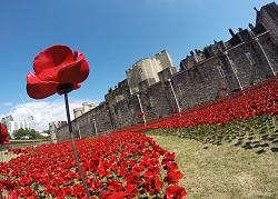 Click image for larger version. 

Name:	Blood-Swept-Lands-and-Seas-of-Red-poppies-installation-at-the-Tower-of-London_dezeen_784_3.jpg 
Views:	94 
Size:	184.5 KB 
ID:	1199659